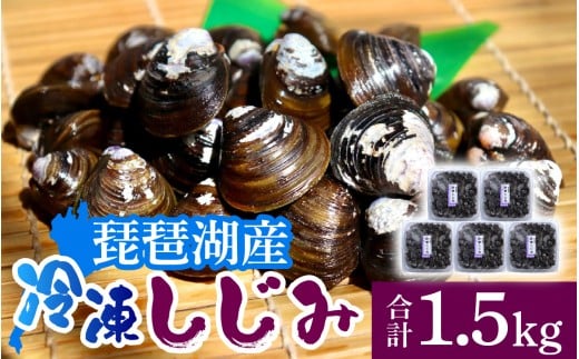 ꌧ̔i΂Ŏꂽ 300×5 v1.5kg [TT006] /  VW~ ݏ` X`  Ⓚ 嗱 VR LTCY  ȒP  Mp o` h{  т т킱 Z^VW~