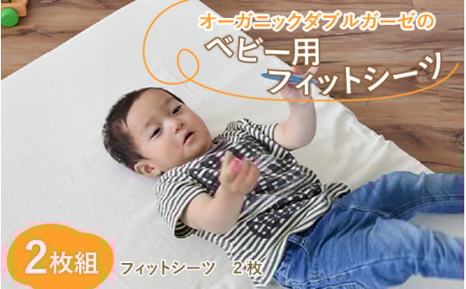I[KjbN_uK[[̃xr[ptBbgV[c 2g [B-01105]ꌧ꒬18000G݁EpiQE^I