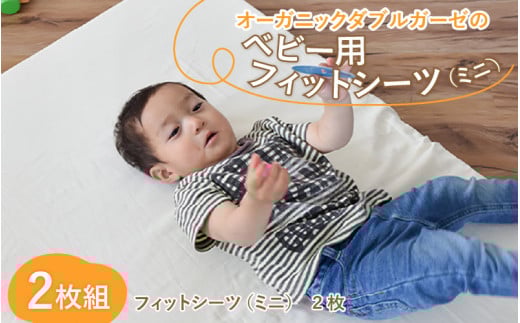 I[KjbN_uK[[̃xr[ptBbgV[ci~jj 2g [B-01104]ꌧ꒬16500G݁EpiQE^I