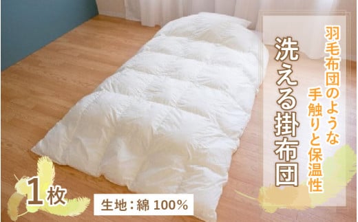Hѕzĉ悤ȎGŕۉQI􂦂|zciDE-C100j[E-01101]ꌧ꒬53000G݁EpiQE^I