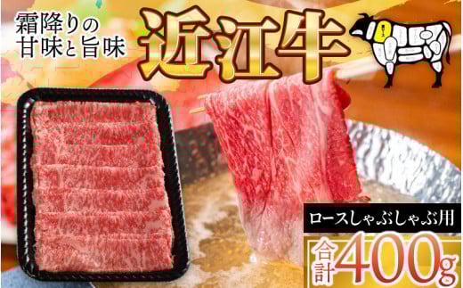 y{Oazߍ] [X Ԃ p 400g [D-01202] / ߍ] Y Y a Y ~ Ԑg    ~ Ε鎠ꌧ꒬37500