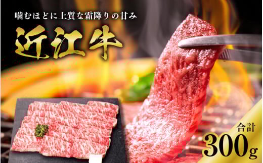 y{Oazߍ][Xēp 300g [B-01201]  / ߍ] Y Y a Y ~ Ԑg    ~ Ε Ă ₫ɂ BBQ o[xL[ꌧ꒬18500