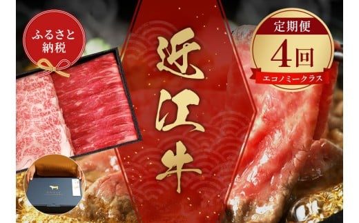 yaZuzߍ] ցuGRm~[NXvi4j [N-01701]ꌧ꒬249500