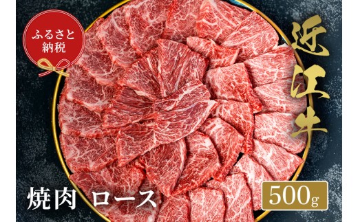 yaZuzߍ]ē [X 500g [F-01702]ꌧ꒬57000