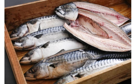 ܂|݂Ղӂ玩̉To L HHi I  Ⓚ ①[5716-0128]s{{Îs13500ECYL