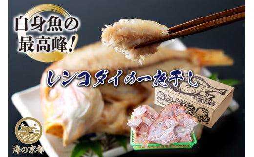 Ôꉟ̐iR_C̈銱 [5716-0144]s{{Îs17500ECY̑ ECY