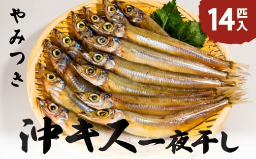 ӂ_炩LẌ銱 14C {C LX LX 銱   Ђ ܂ {   т̂[5716-0160]s{{Îs14000ECY