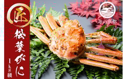 䥂ŏtI 1ti1,000gjq11{`2026N3r I Jj  tI tKj YCKj {C[5716-0184]s{{Îs110000ECYJj