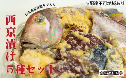 yӂ邳Ɣ[Łz{CY OOWisuhj萼Ђ 5 L Ћ XЂ ЂÑ T T[ ^CJ [5716-0325]s{{Îs42500ECY̑ 