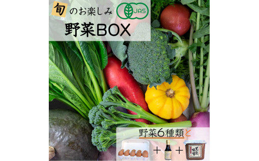 <京都・矢田の里>産地直送!旬の有機JAS認定 京野菜・農家のこだわり野菜・新鮮卵など 直売所 お楽しみセット≪オーガニック野菜 栽培期間中農薬・化学肥料不使用≫京都府亀岡市11