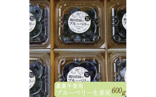 ys\z_͔|Ԓ_sgp E u[x[ ʎ 600g b ʎ VNt[c kCEEւ̔s 2026N7{`8{ɏ\苞