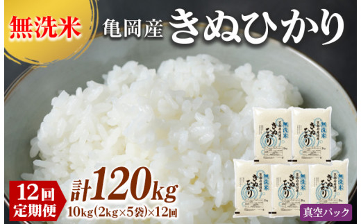   10kg 12 ^pbN sOgY LkqJ 12 10kg i2kg×5܁j 12 v120kg 󒍐ās  ʂЂ  ӂ邳Ɣ[  另Ջ[it kC