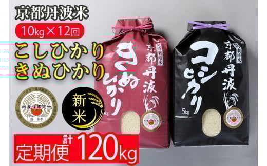 yցzߘa6NY V sOg10kg (Ђ5kgEʂЂ5kg) ×12 v120kgZ12 12 RVqJELkqJ e5kg VĒ Đ  sOgĕĒ sO