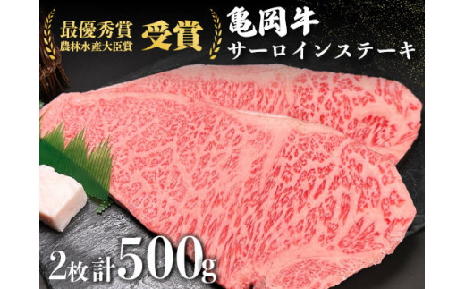 TXiLjؑ]XuTT[CXe[Lv500g Ⓚi①wj Xe[L jIT 2021NŗDG܁i_ѐYb܁j܋s{Ts26000