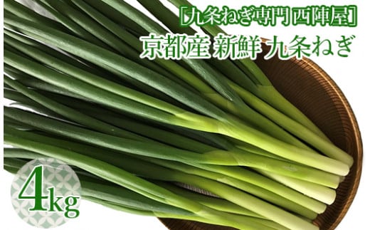 m˂ wnsY VN ˂ Ղ 4kgssuh  lM Kts{Ts11000؁Êʂ˂E˂