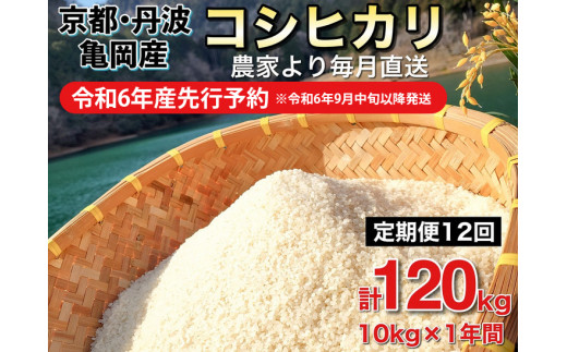 【令和6年産先行予約】米 定期便 10kg×12ヶ月 120kg コシヒカリ 佐伯の里の源流米 希少 農家直送 令和6年産 新米 白米 10キロ 12回 低農薬米 減農薬米 京都丹波産 こしひかり 家計応援 生活応援