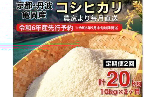 【令和6年産先行予約】米 定期便 10kg×2ヶ月 20kg コシヒカリ 佐伯の里の源流米 希少 農家直送 令和6年産 新米 白米 10キロ 2回 低農薬米 減農薬米 京都丹波産 こしひかり 家計応援 生活応援 ※