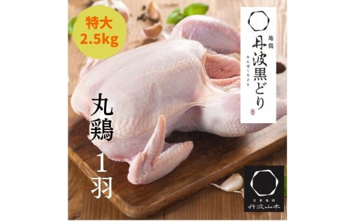 【訳あり 緊急支援】地鶏 丹波黒どり 丸どり 中抜き 丸1羽 約2.5kg<京都亀岡丹波山本>業務用 特大サイズ《特別返礼品 鶏肉 丸ごと 1羽》◇京都府亀岡市13000肉鶏肉