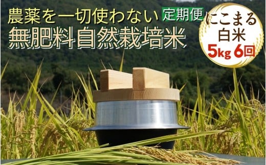 米 定期便 令和7年産 自然栽培米 にこまる <農薬を一切使わない無肥料栽培> 白米 5kg×6ヶ月 30kg(精米したて) 《新米 京都丹波産 無農薬米栽培向き 厳選品種 6回お届け》京都府亀岡市17400