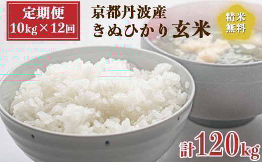 【定期便】令和6年産 新米 先行予約  京都 丹波産 きぬひかり 玄米 10kg(5kg×2袋)12回 計120kg|5つ星お米マイスター 厳選 受注精米可 隔月発送も可 ※離島への配送不可※2024年9月下旬以降順