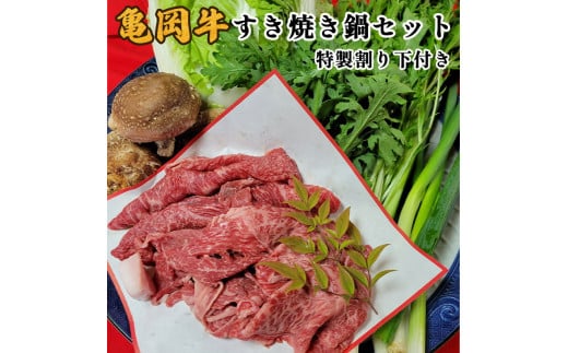 T Ă Zbg Vސው  ₫ XLL Ԃ  Zbg  p[eB[ ws kCEEւ̔zss{T