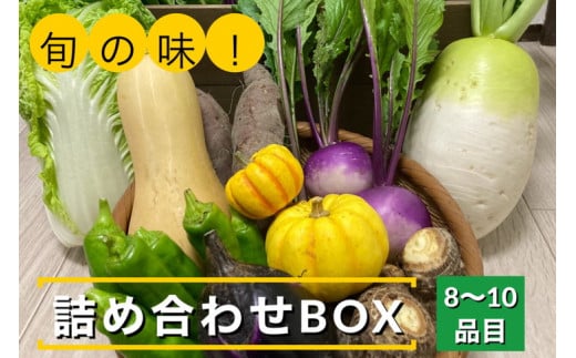 【6回定期便】旬の味!お野菜 詰め合わせBOX 8〜10品目×6回(栽培期間中 農薬・化学肥料不使用) 【めぐる農園】京都 亀岡 京野菜 農家より直送京都府亀岡市62000野菜・きのこその他 野菜