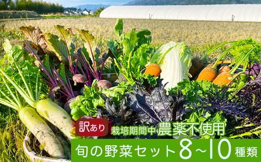 かたもとオーガニックファームの農業研修生が無農薬・自然栽培で育てたお野菜セット 8〜10品目 ≪産地直送 朝採れ 新鮮 京野菜 京都府 亀岡産 ≫京都府亀岡市15000野菜・きのこその他 野菜