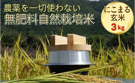 米 令和7年産 自然栽培米 にこまる <農薬を一切使わない無肥料栽培> 玄米 3kg 《米 京都丹波産 無農薬米栽培向き 厳選品種》京都府亀岡市17000米・パン玄米・雑穀米・もち米・餅