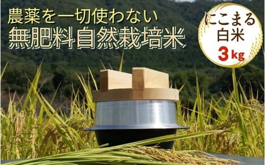 米 令和7年産 自然栽培米 にこまる <農薬を一切使わない無肥料栽培> 白米 3kg(精米したて) 《米 京都丹波産 無農薬米栽培向き 厳選品種》京都府亀岡市19000米・パン白米