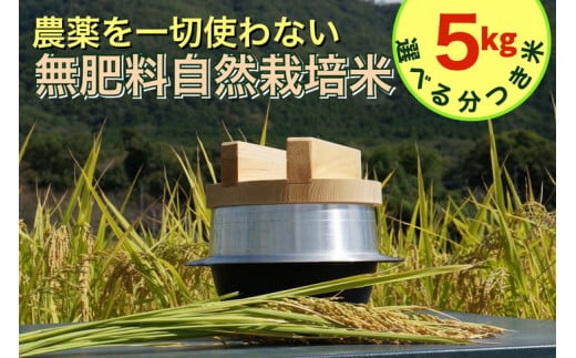 【八分つき】米 令和7年産 自然栽培米 にこまる <農薬を一切使わない無肥料栽培> 分つき米 5kg・精米したて 《米 京都丹波産 無農薬米栽培向き 厳選品種》京都府亀岡市29000米・パン白米