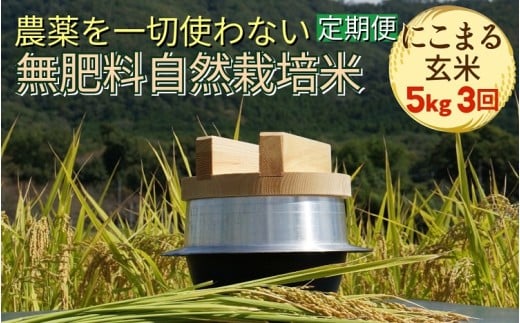 y3ցzR͔| ɂ܂ _؎gȂ엿͔|  5kg × 3 v15kgsߘa7NY V sOgY _č͔| Iits{Ts81000āEpāEG