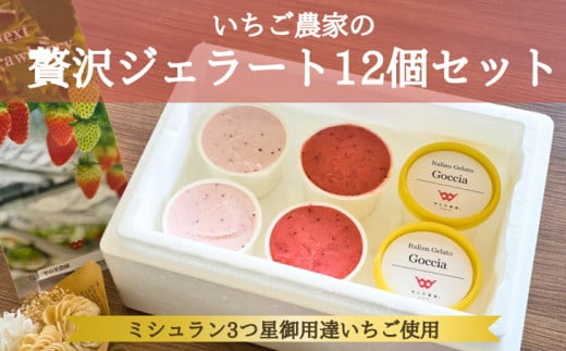 いちごよりいちごを感じるジェラート&季節のおすすめ 12個入り京都府亀岡市21000菓子・スイーツアイス・ジェラート