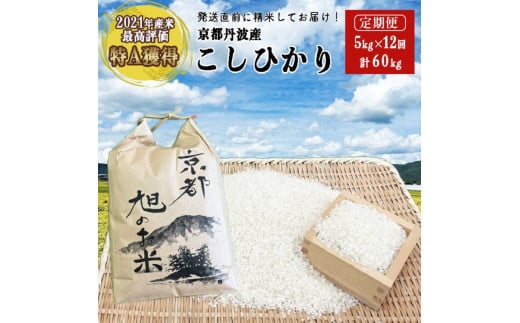令和7年産 コシヒカリ 先行予約 米 定期便 5kg 12回 計60kg 丹波 亀岡産 「京都 旭のお米」なごみの里あさひ 米 新米 白米 精米 ※北海道・沖縄・離島へのお届け不可※2025年9月下旬以降順次発