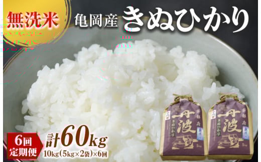 【奇数月】定期便 無洗米 10kg 6ヶ月 配送時期が選べる 京都丹波産 キヌヒカリ 6回定期便 10kg (5kg×2袋) ×6回 計60kg ※受注精米◇《米 白米 きぬひかり 計60kg ふるさと納税 無洗米 大嘗祭供納