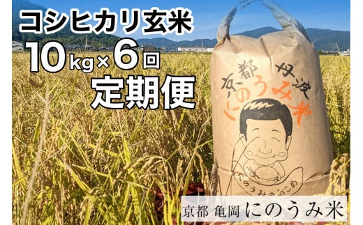 yցzyߘa6NYs\z RVqJ   10kg×6JqAOɂ̂݁rsETYsߘa6NYt sOgYkCEEւ̔zs2024N10{`11