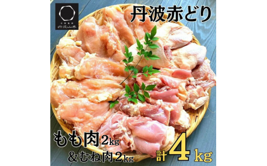 OgԂǂ ނ˓ 4kg Zbgie2kgjsTOgR{s{ {   l l Ɩp 󂠂ts{Ts17000{