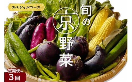 【3回定期便】旬の京野菜 毎月お届けスペシャルコース(全3回) 《野菜定期便 野菜詰め合わせ 野菜セット 京野菜 旬の野菜 新鮮野菜》京都府亀岡市42000野菜・きのこその他 野菜