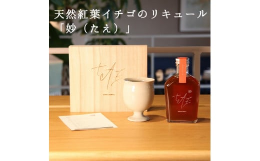 y܊Ŋ鋞sETzVRgtC`S t[cL[ uijv{ OX i2_Zbg@IWiBGMt y؂ȕւ̃v[g⎩ւ̂JɁzӂ邳