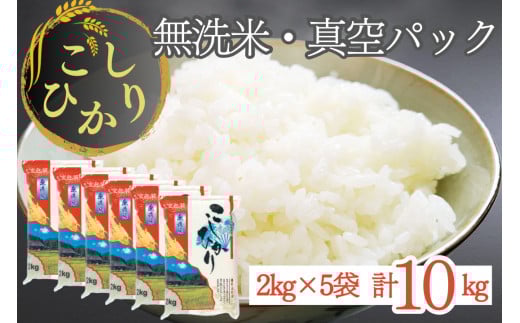  10kg ^pbN sOgY RVqJ 󒍐 2kg×5b  10L  ~ H Ђ T ӂ邳Ɣ[ŕ  kCEEւ̔zss{T