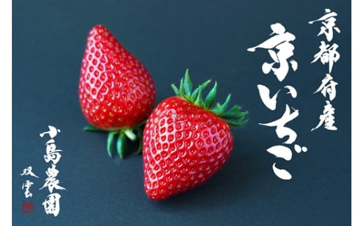 V[Y\t   n ̂ 1,000gi250g 4pbNj_ gق Cx[ X^[iCg猵I󂠂  C`S ◣ւ̔zs 2026N1{`5