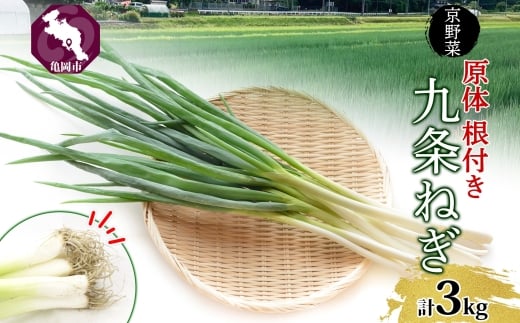 ˂  t 3kg ̂˂͂ b  s{Y K lM [ ǂ X`  ˂Ă  Ɩp  Yn  l ̂ Ήisj w