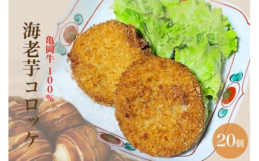 T100 CVRbP 20sET ق܂farm b ш RbP uh ؋s{Ts16000ZbgE؁EHHi