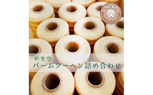 o[N[w 2E3 l yv[o[EG߂̃AWo[zVH Ƃ ӂӂ Mtg v[g hV̓ ̓ ̓ a j XC[c oEN[w