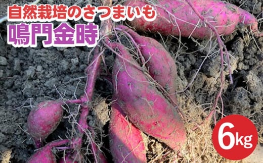 yԌzR͔|̂܂ 6kg  s TY ƃI[KjbNt@[肨͂sTc}C  Yn Y XC[ct ւ̔zss{Ts19000