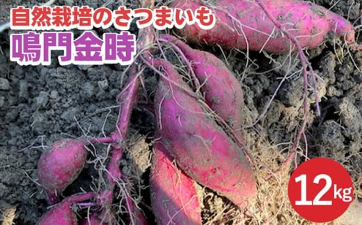 yԌzR͔|̂܂ 12kg  s TY ƃI[KjbNt@[肨͂sTc}C  Yn Y XC[ct ւ̔zss{Ts37000