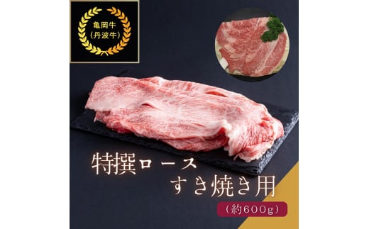 siTEOgjI[XĂp 600g  Ⴊ J[ V`[   Y s{Y Mtg Hi  ւ̂͂ss{Ts30000