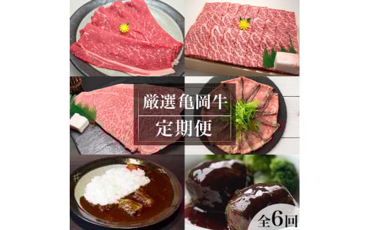 【全6回定期便】亀岡牛 定期便 亀岡牛専門店が厳選 お楽しみ 食べ比べ セット ≪冷凍 焼肉 すき焼き サーロイン ステーキ ローストビーフ 赤身 もも 肉 牛肉 国産牛 黒毛和牛 肉定期便 京都