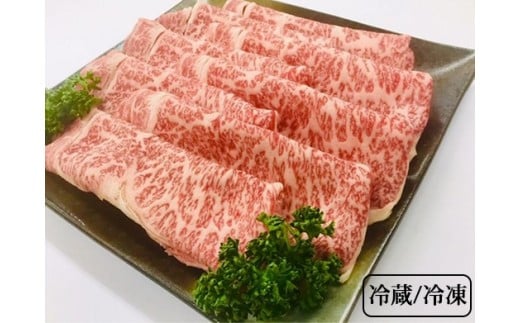 y①zIIOgPI[XXCX550gs①ts{Ts21000