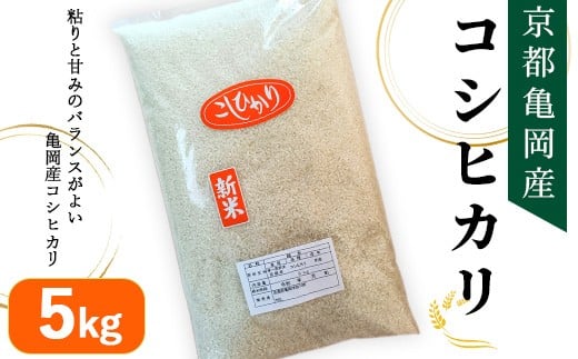 令和7年産 京都亀岡産 コシヒカリ 5kg 精米仕立て 新米 白米 精米 お米 ※2025年11月中旬〜12月下旬頃に順次発送予定京都府亀岡市16000米・パン白米