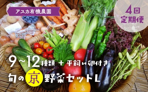 【12月発送】【4回定期便<アスカ有機農園>旬の京野菜セットL(平飼い卵付)*毎月お届け全4回《定期便 野菜 やさい セット 新鮮 詰合せ 旬 野菜定期便 野菜詰め合わせ 野菜セット 京野菜